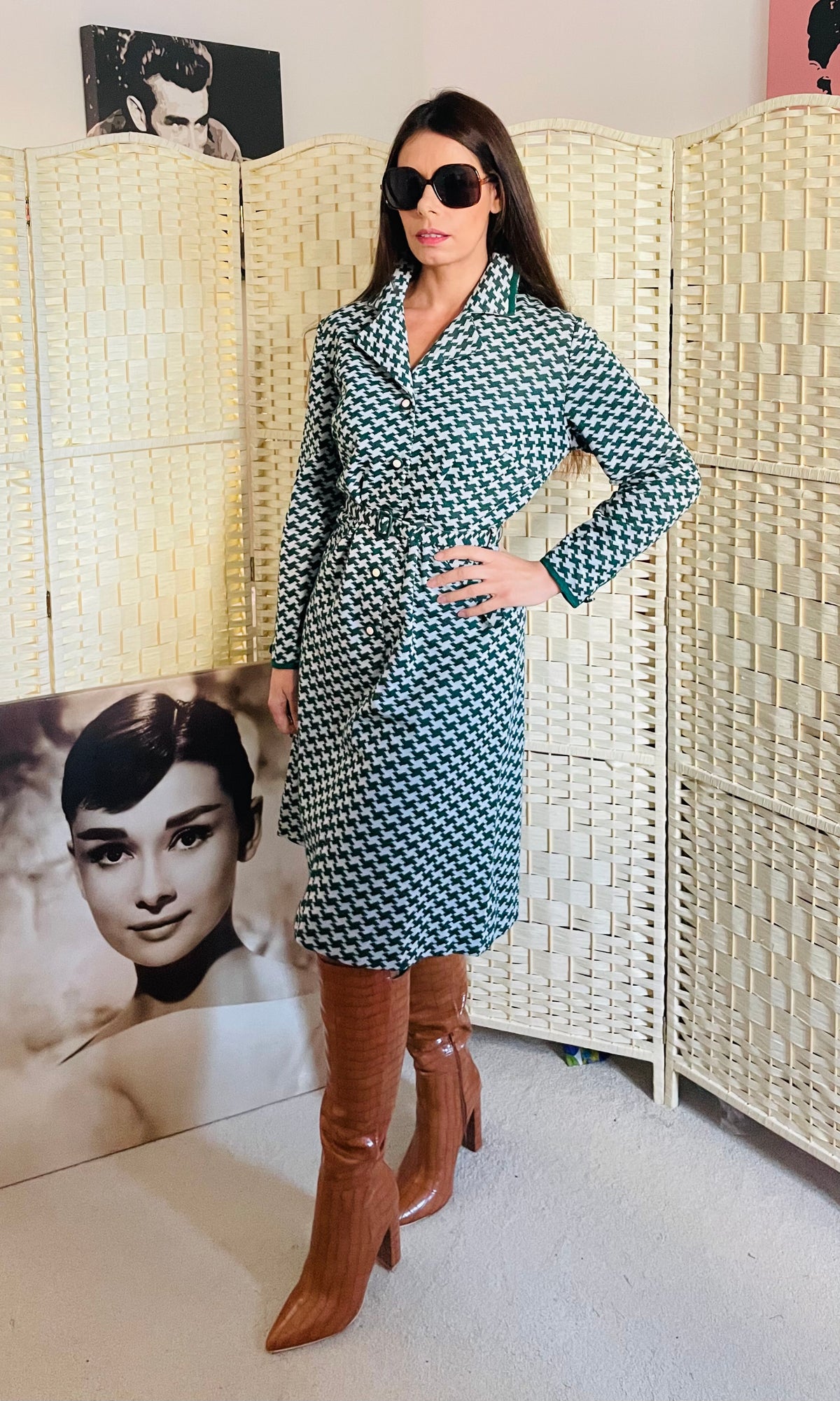 Rent vintage green and white dress