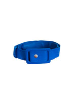 Vintage Cobalt Blue Waist Belt