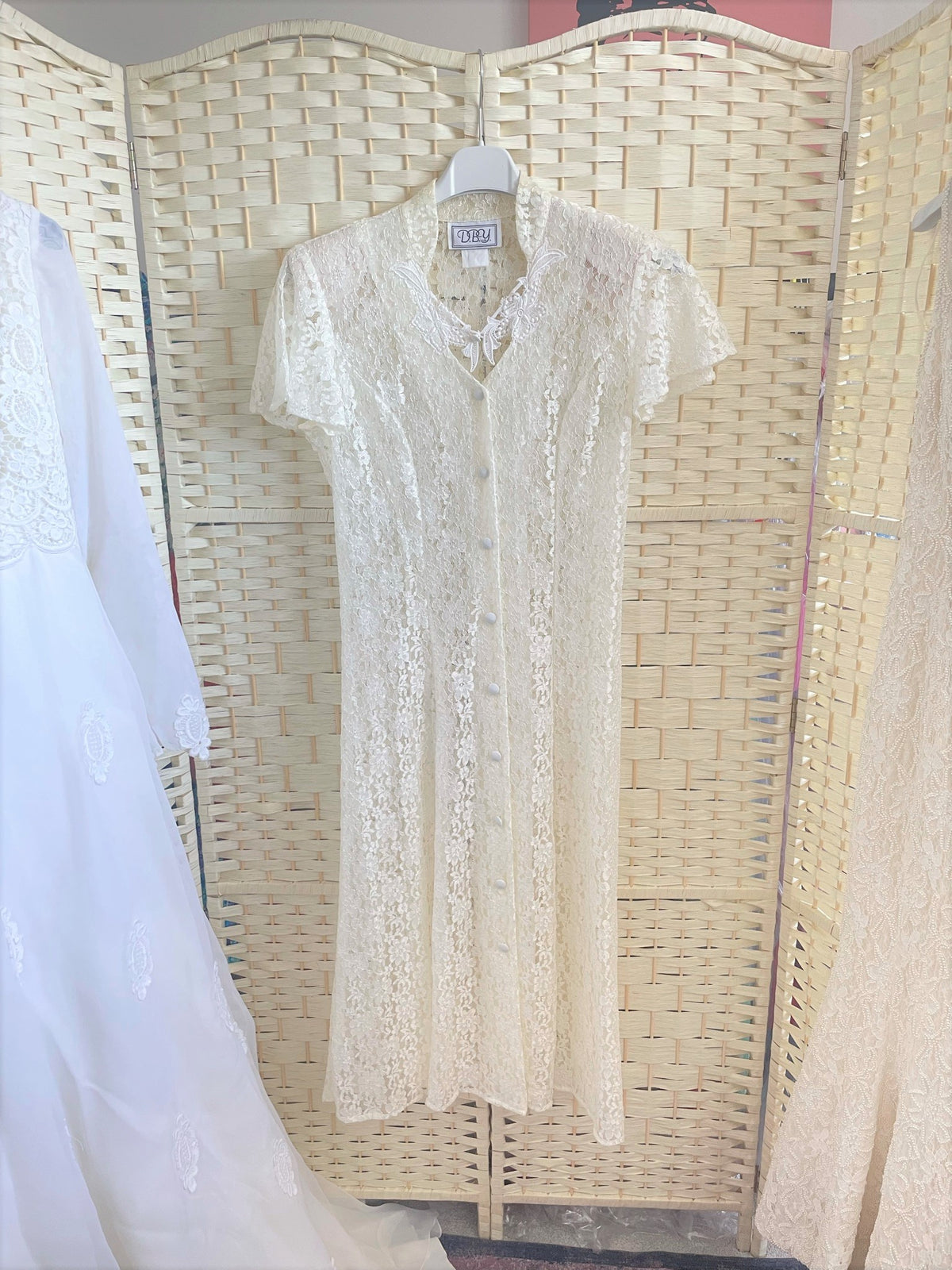 Vintage Lace Dress